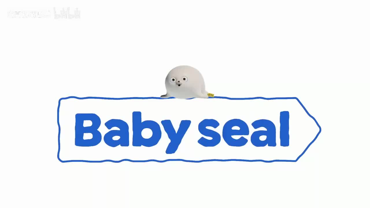 No Click, Me Cry (Not Clickbait)ㅣSuper Baby SEALOOK Compilation