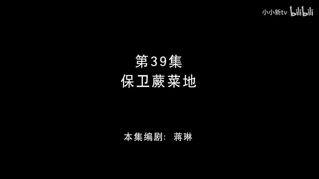 保温蕨菜地39