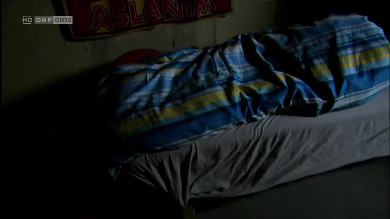 Türkisch für Anfänger (Season 2 Episode 24) Watch German TV series (German Subti