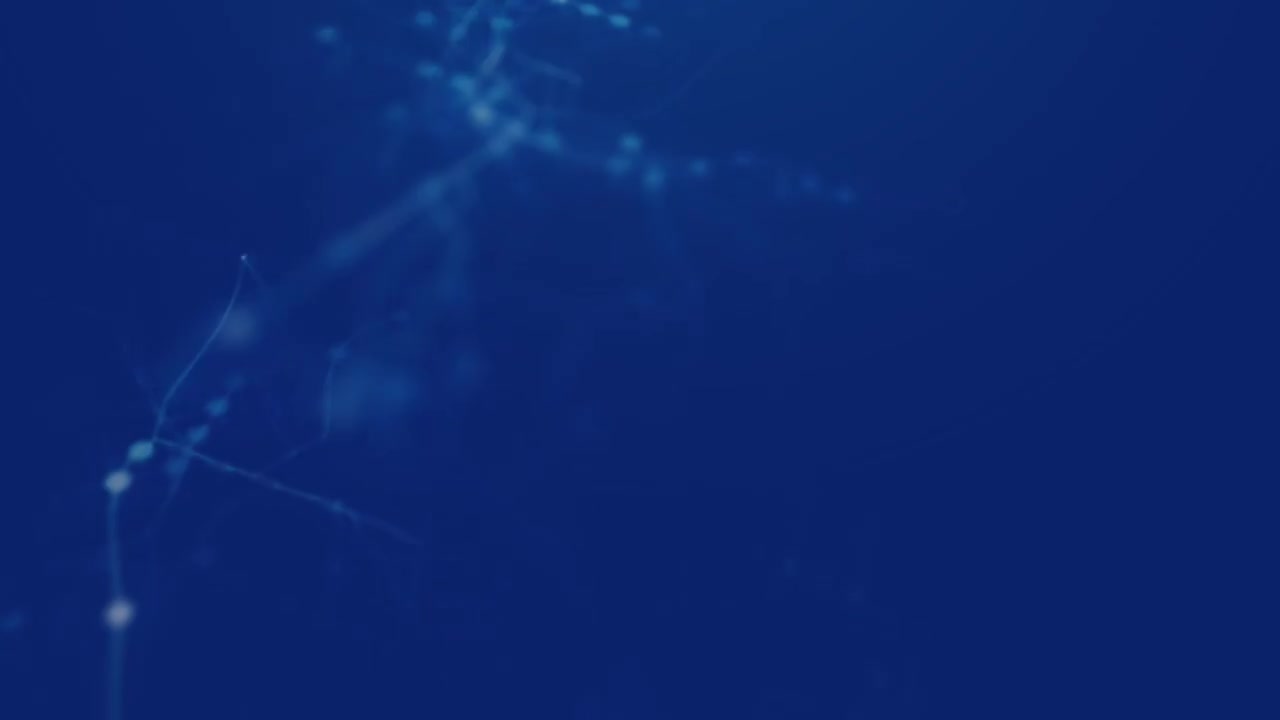 97 企业案例-车辆的信号设备的系统检查