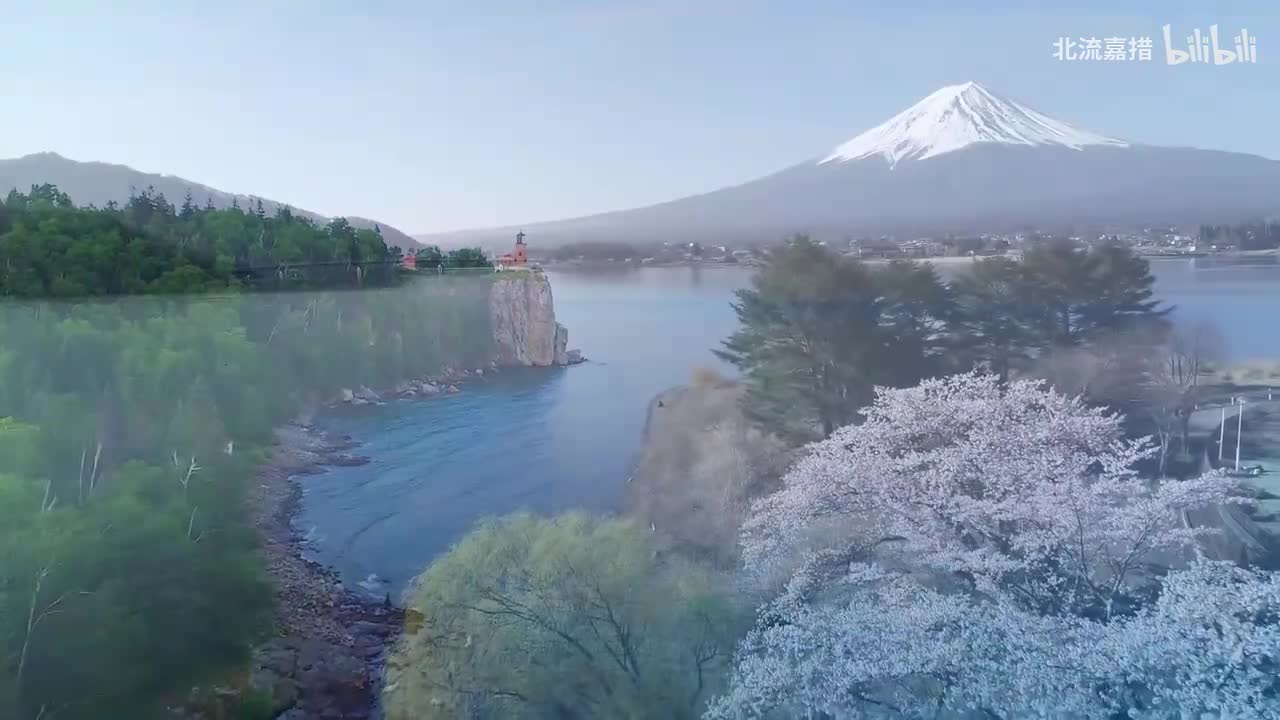 花之绪 - 南有乔木