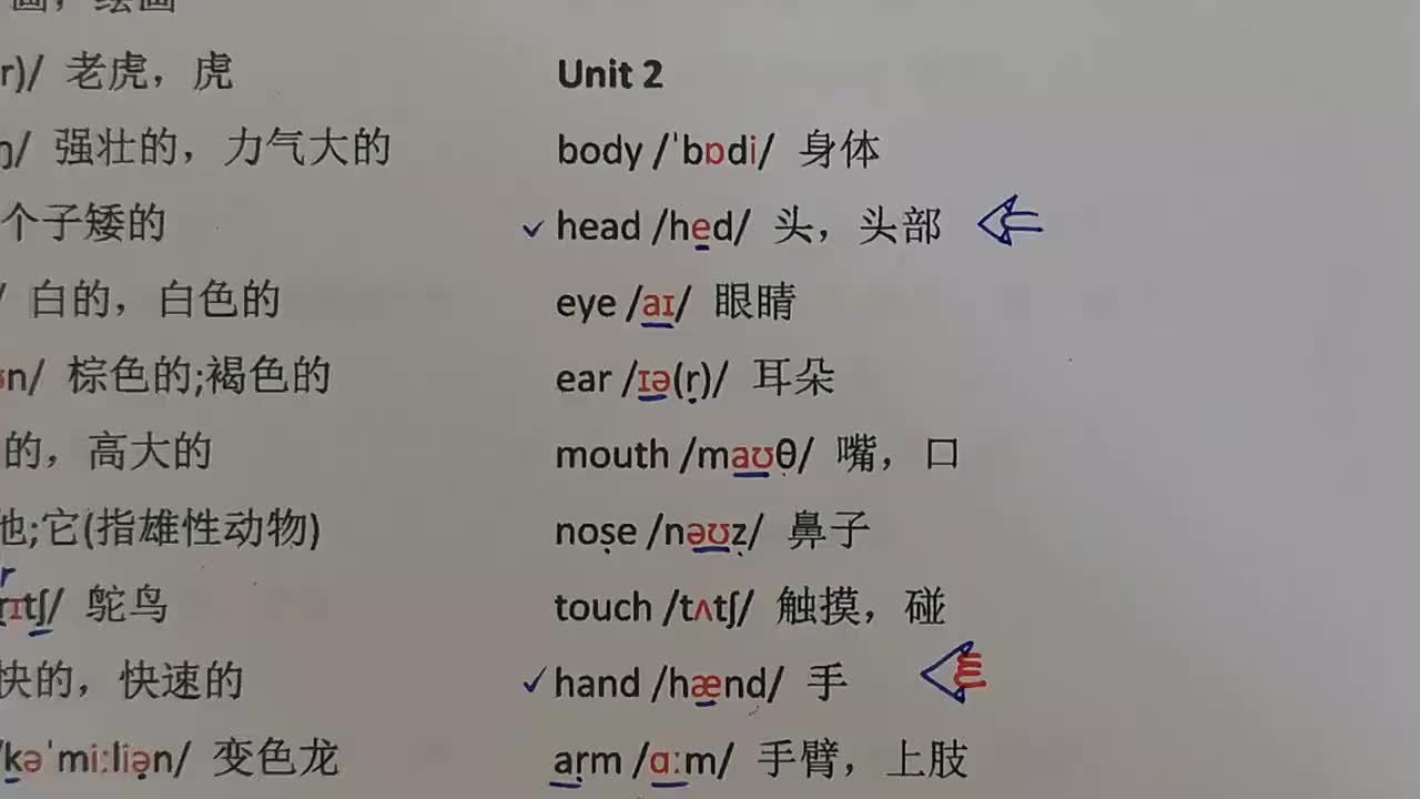 外研三下 Unit 2 单词跟读