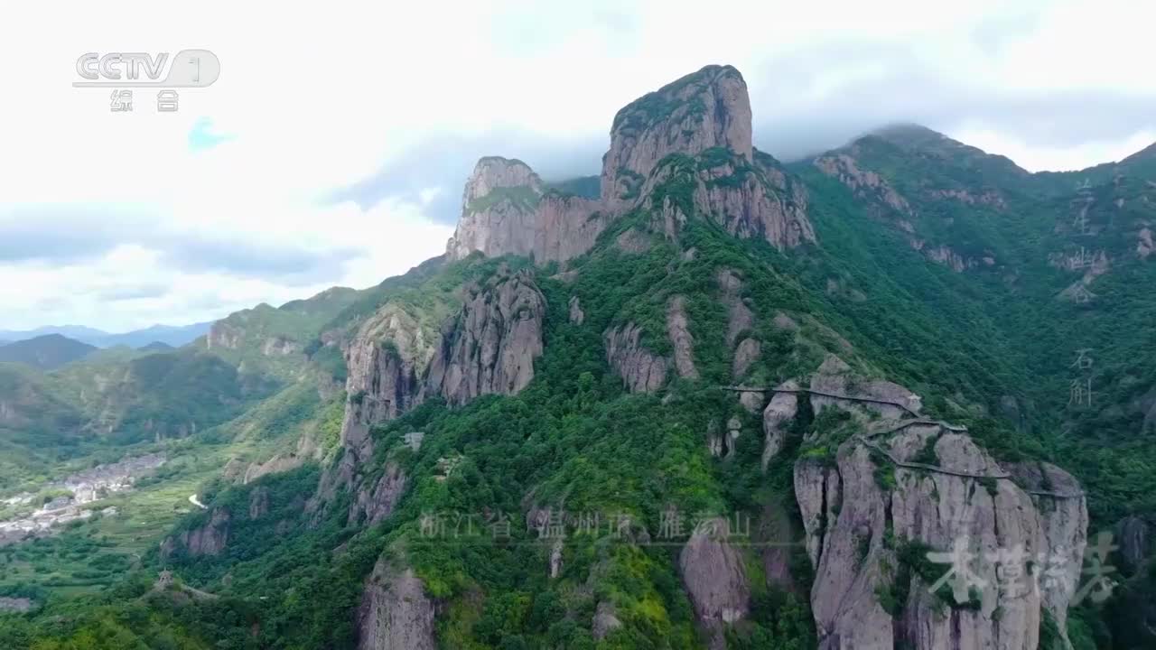 零下20℃冷冻后也能满血复活？采摘两年后依然会发芽开花？揭秘石斛何以绝境中成就珍贵药材《本草流芳》 第2集 兰生幽谷 ｜ CCTV「本草流芳」_1080p