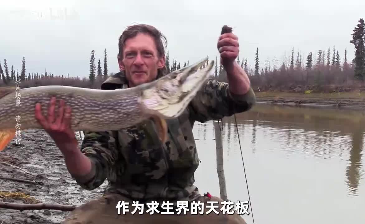 一口气带你看完荒野独居第十一季完整版，大佬一箭射杀千斤驼鹿_20250606_093140