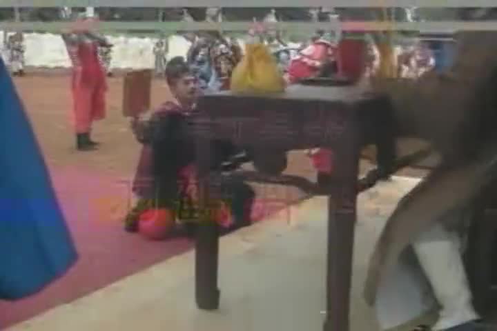 33 羽鹤丹心 金超群