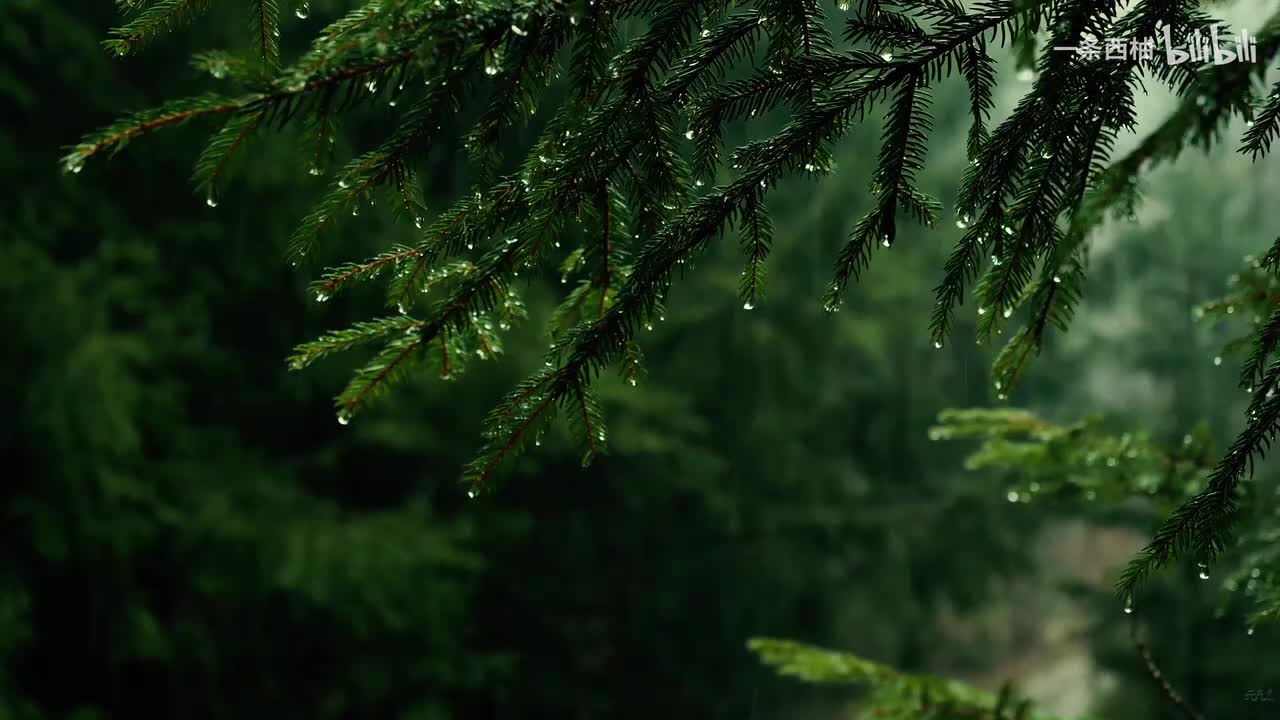 雨中氛围感 (6)