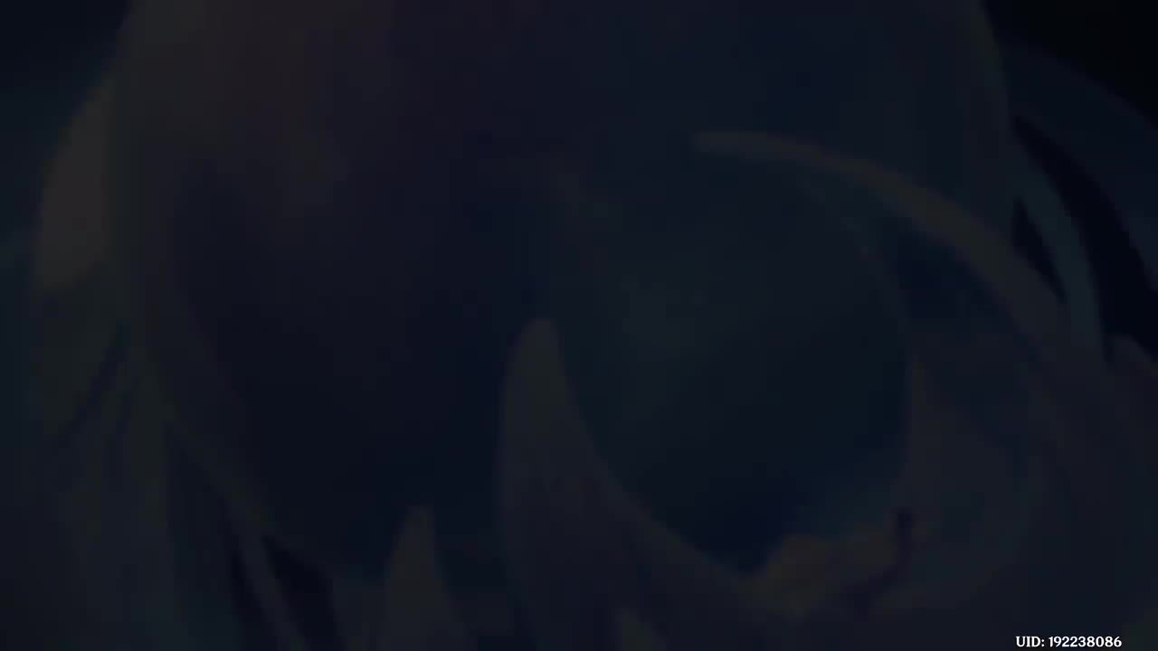 2【过场动画】哥伦比娅 · 希珀塞莱尼娅