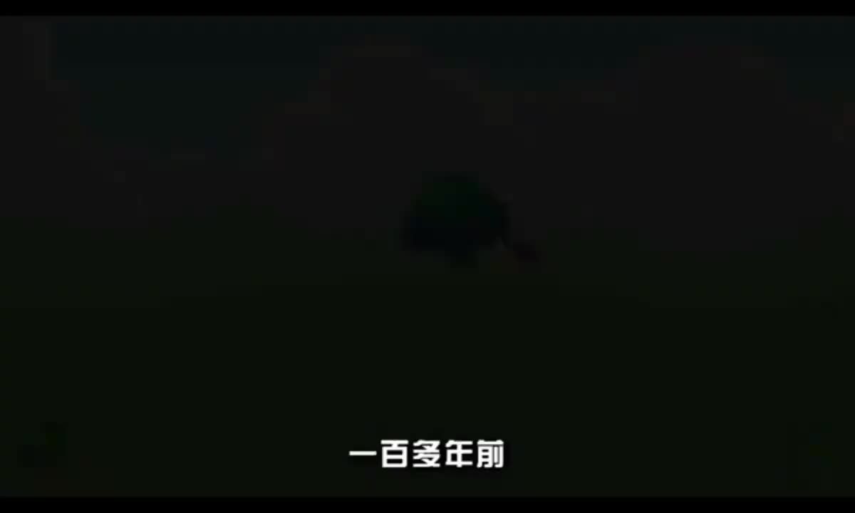 14 书包里的亲情