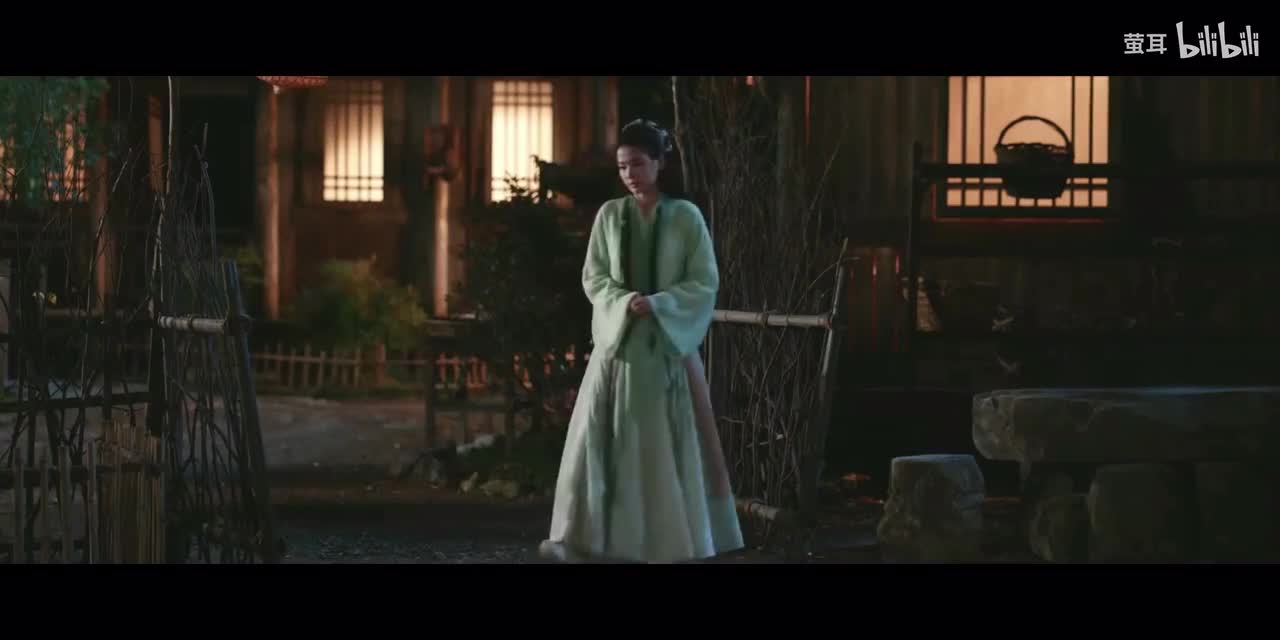 苏暮雨带萧朝颜去南安（惊喜8）