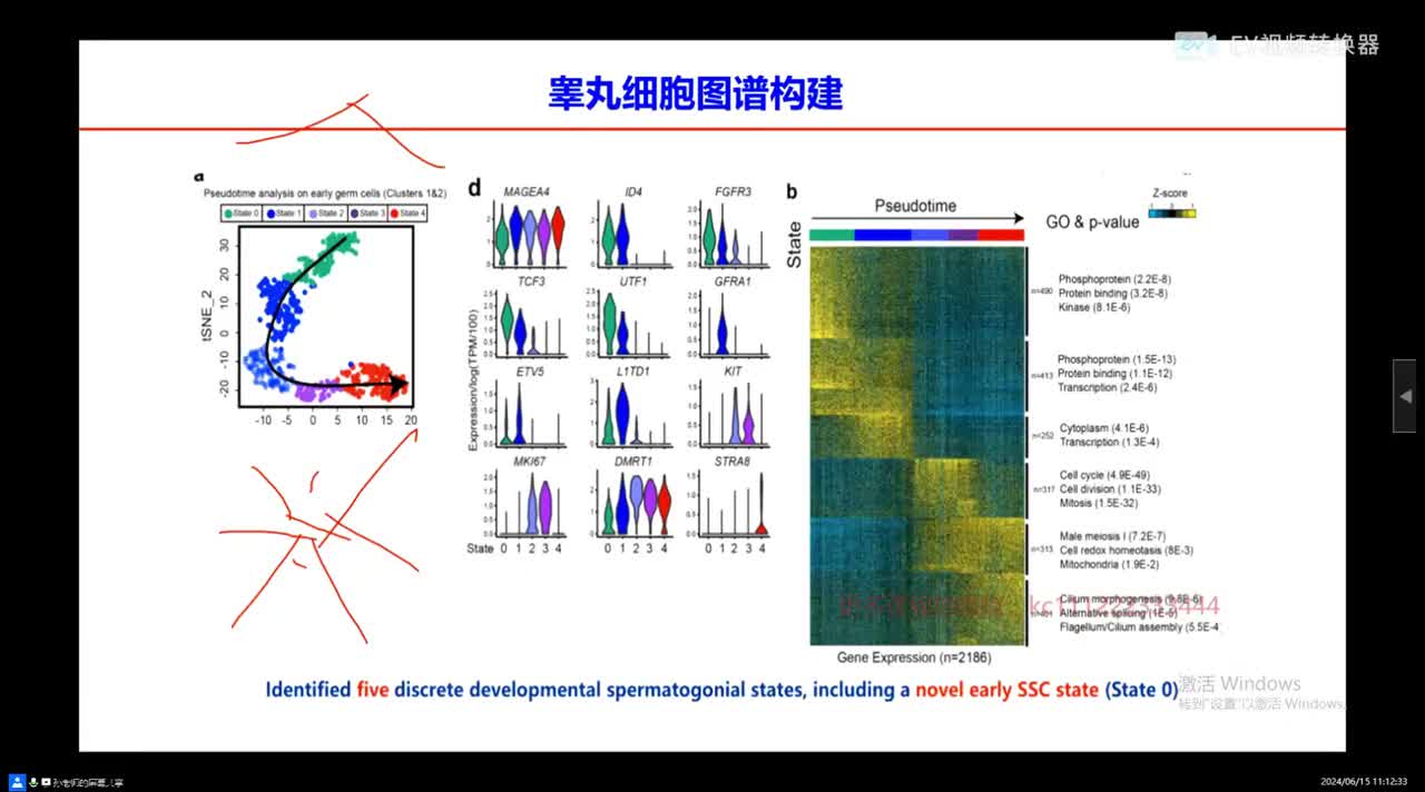 11月18日-02.42.33.186-07.15.15.970-seg2