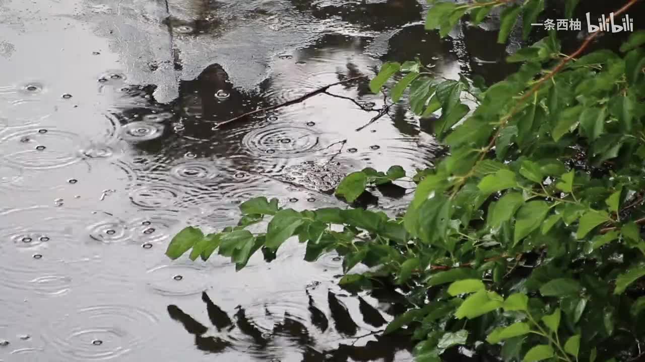雨中氛围感 (32)