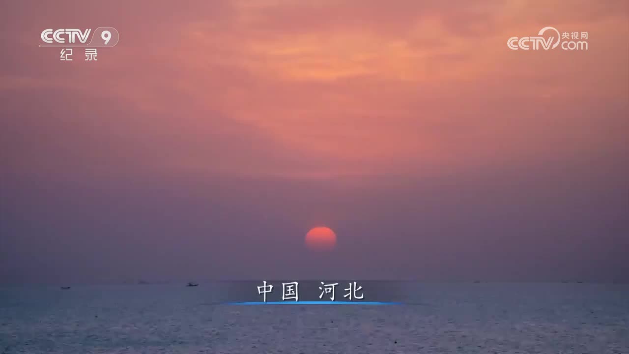 中国港第二季第5集 河北黄骅港