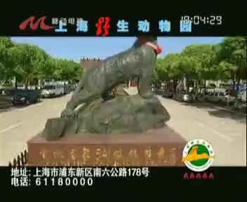172446_105D