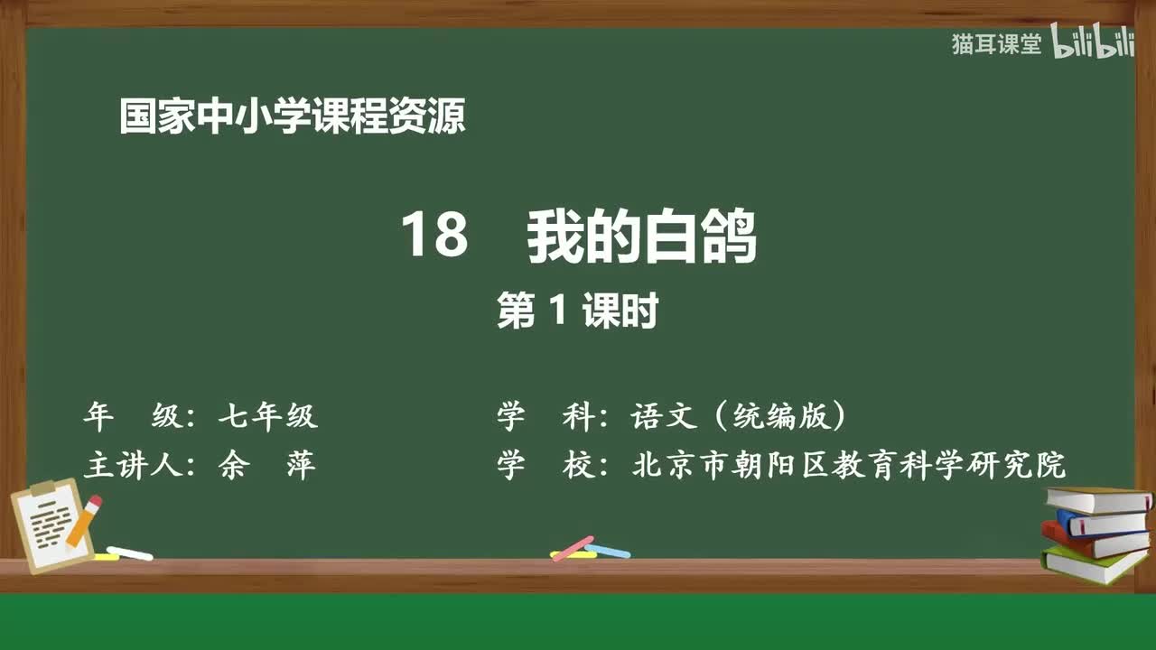 47 我的白鸽（第1课时）