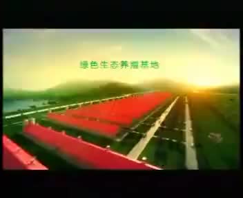 tvcimage.meihua.infompeg20100227113035_3204.mp4