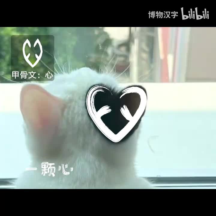 一个木瓜一个你