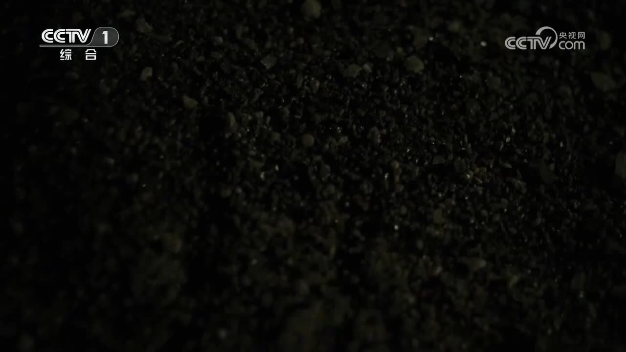 【第4集】血肉筑起的长城