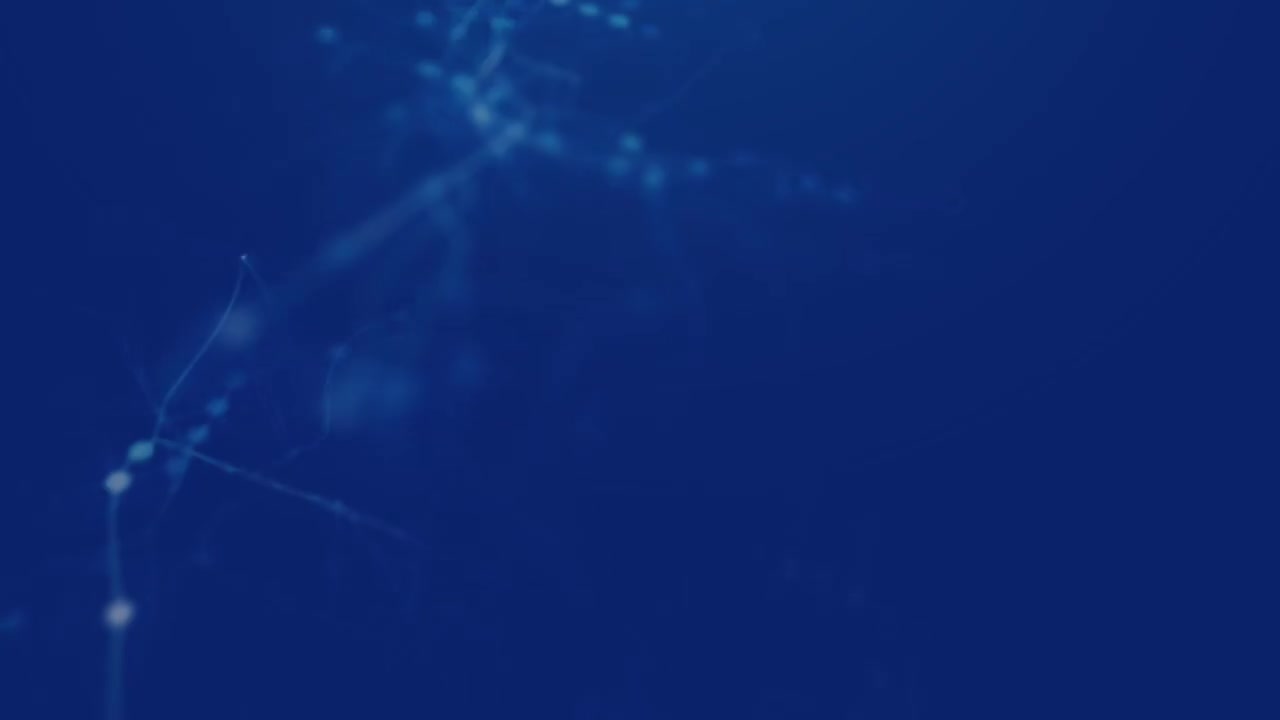 46 企业案例-车辆发动机不启动（起动机无法运转）