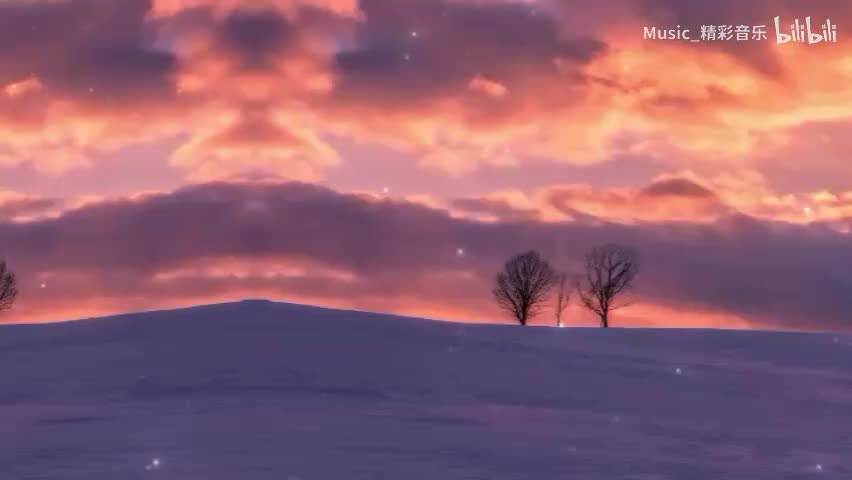 《零距离的思念》《浆果》