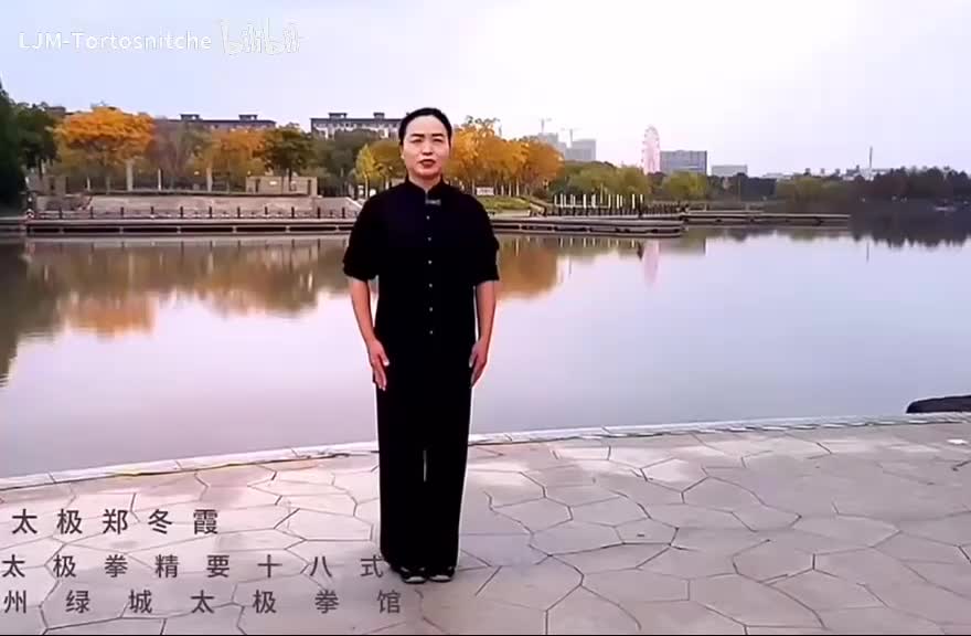 陈式太极拳精要18式【郑冬霞】