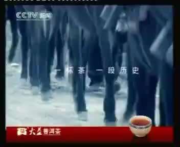 大益普洱茶(2006)