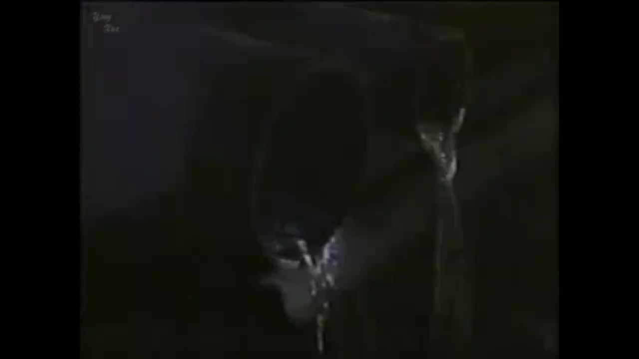 05-1992年春冬季特别篇+93盛夏特别篇