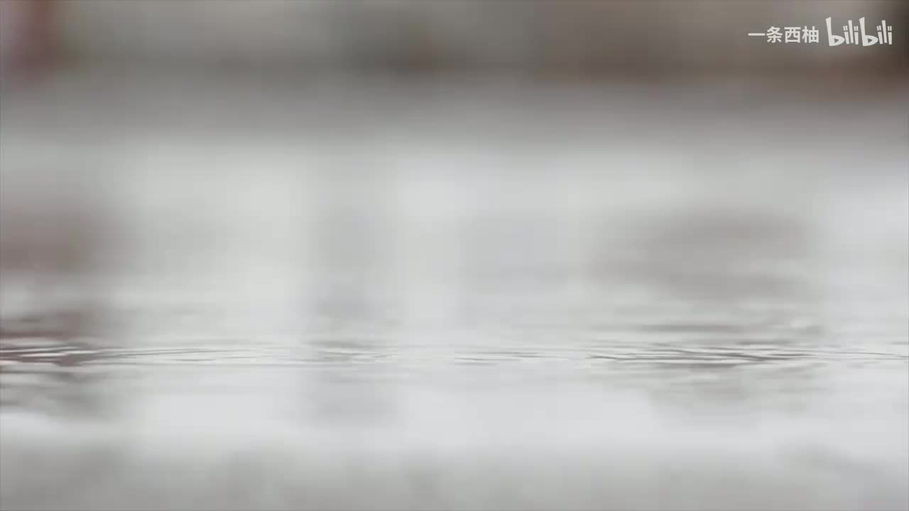 雨中氛围感 (67)