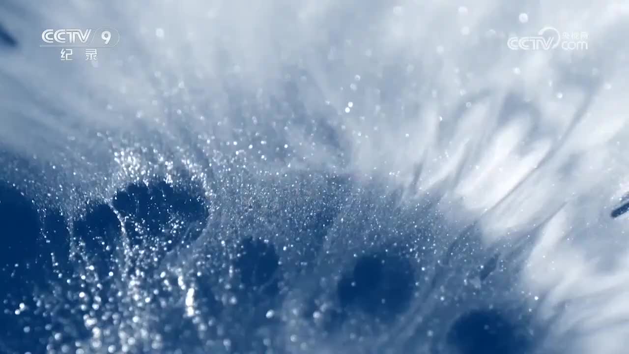 《古中国的颜色_青》_第1集_2026-01-26_22_50_55