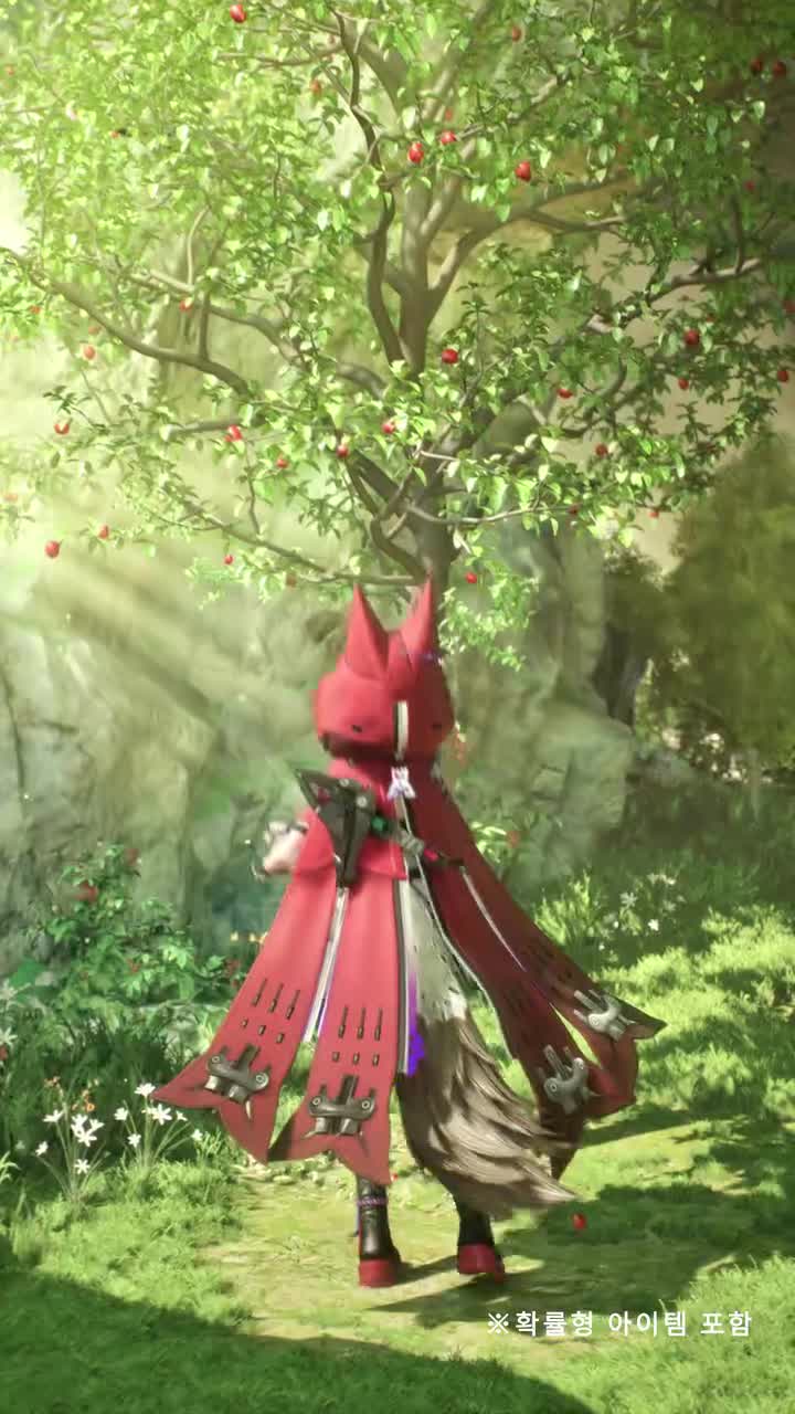 韩