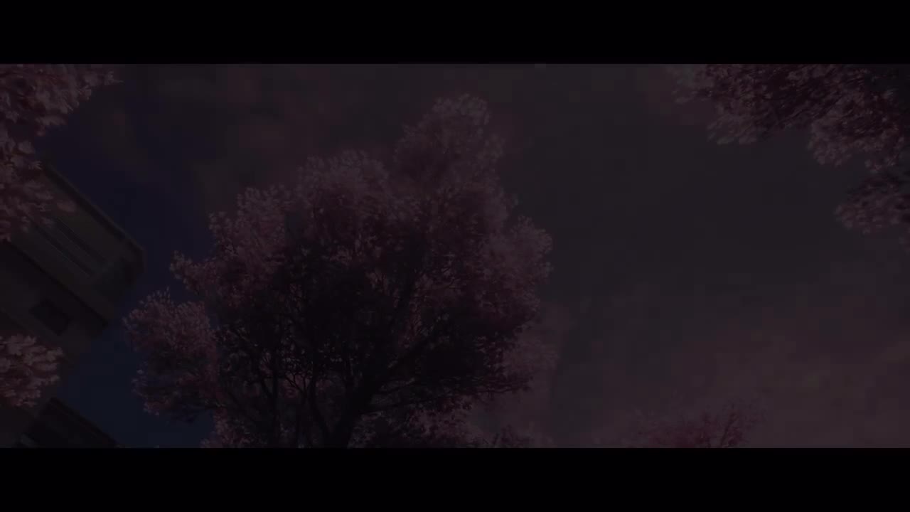 （男漂）5【剧情演出】樱花树下