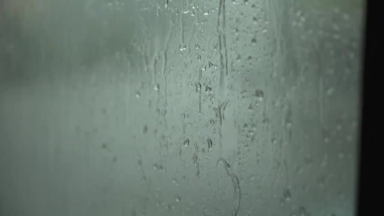 大号更新25.11.23