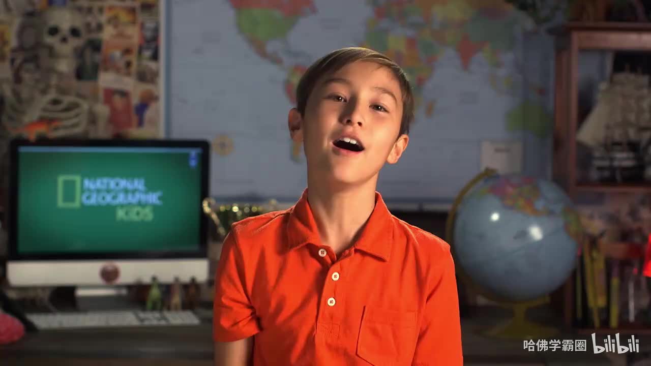 Nat Geo Kids Dinosaurs Playlist-03-All About The Spinosaurus 中英字幕