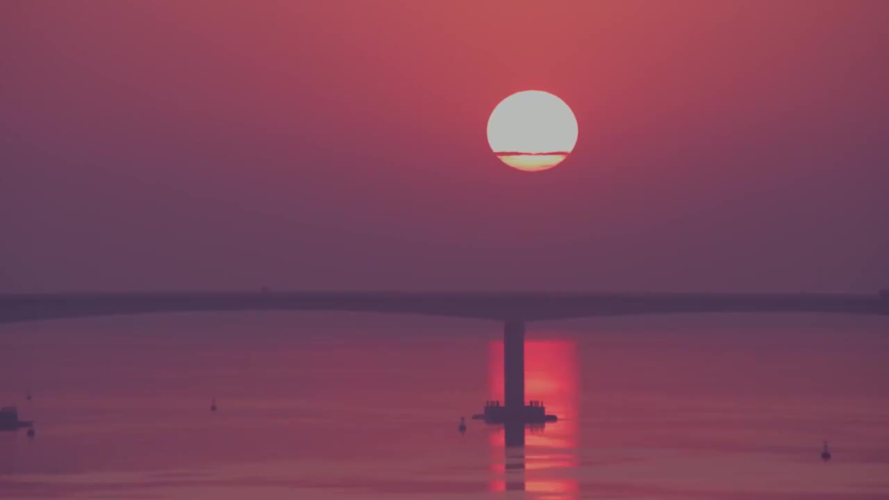 023-太平洋西岸最大的候鸟停歇地 (江苏圆陀角)