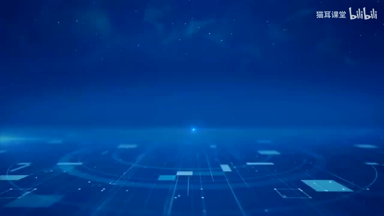 11 专题：追求民主价值