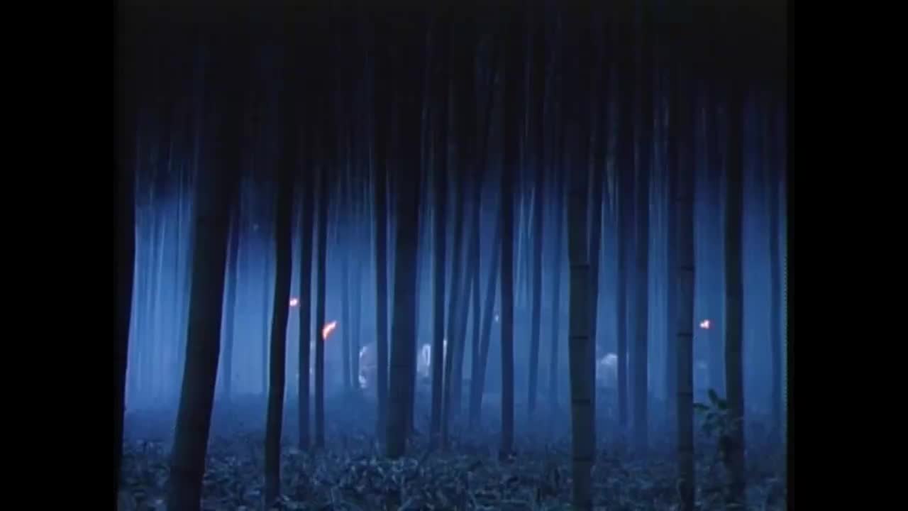 女王蜂（1994年-第19部）