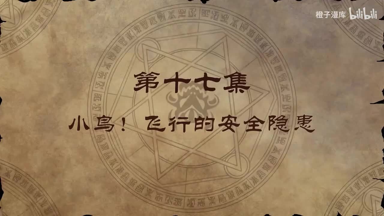 17. 小鸟！飞行的安全隐患