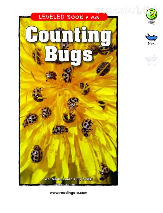 41-【041】Counting Bugs