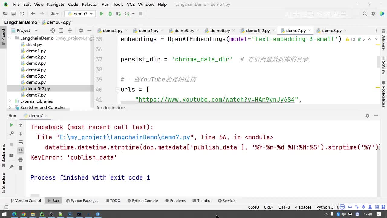 执行代码并保存向量数据库