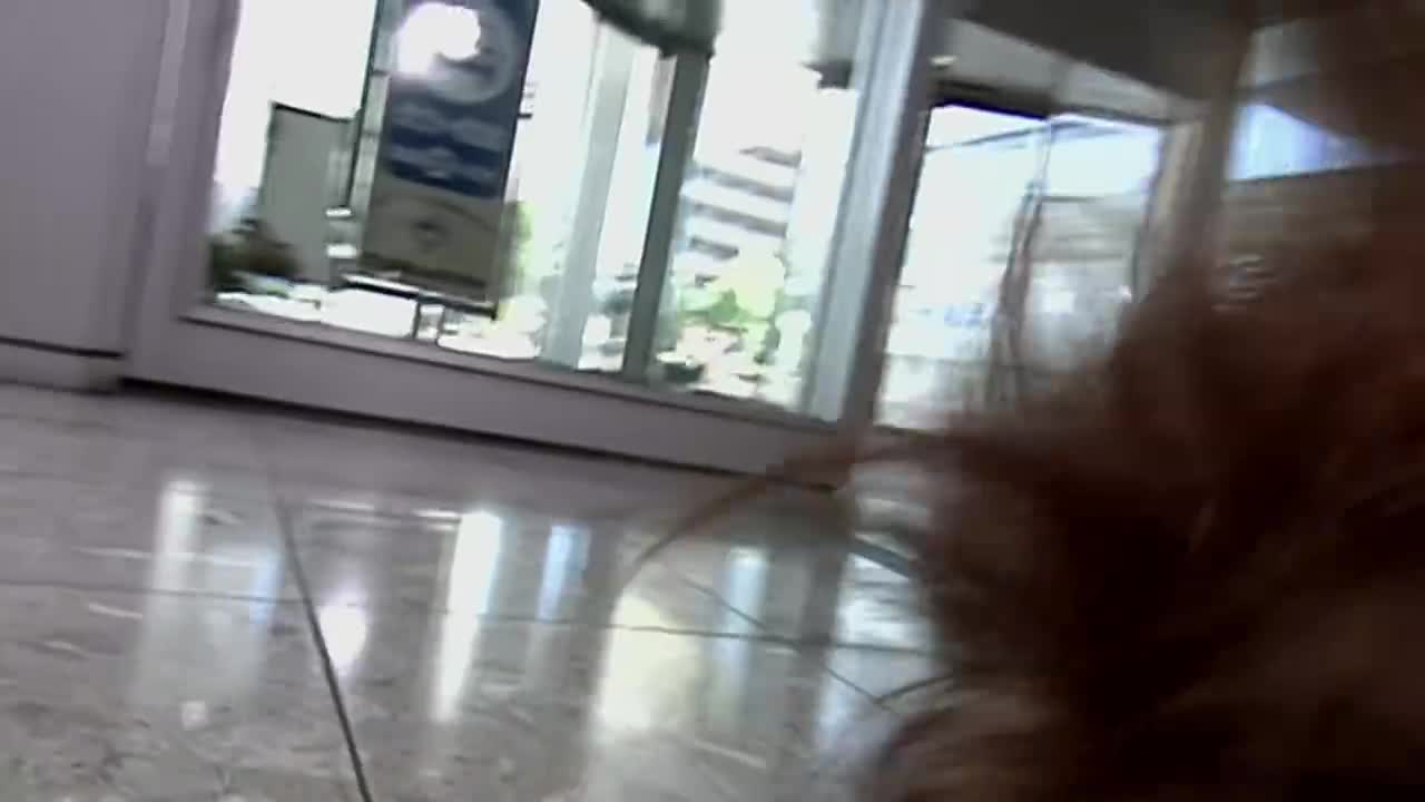 31 第53张牌的存在 下