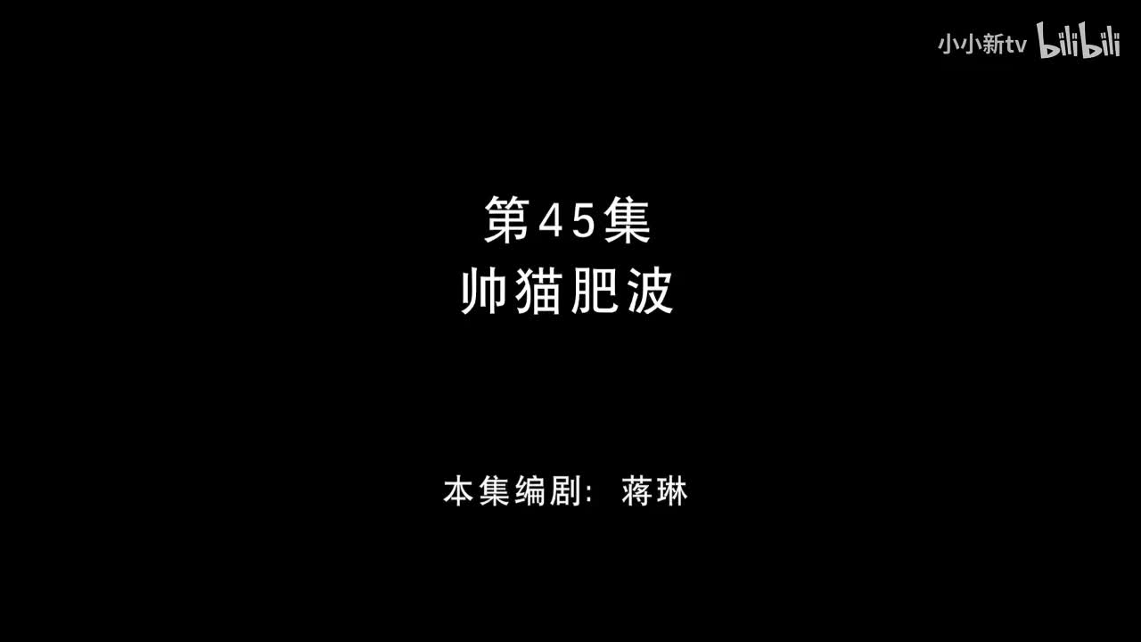 帅猫肥波45