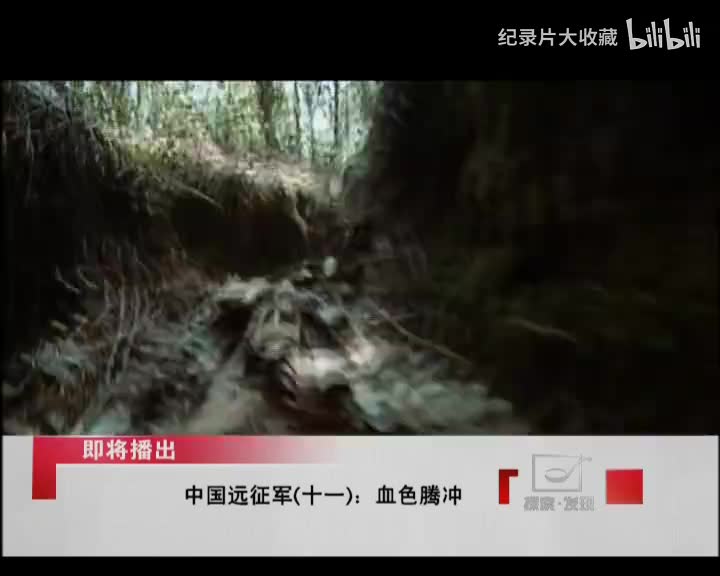 中国远征军.第十一集.血色腾冲