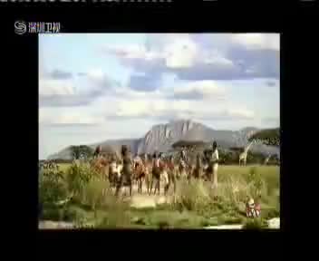 15秒（深圳卫视）