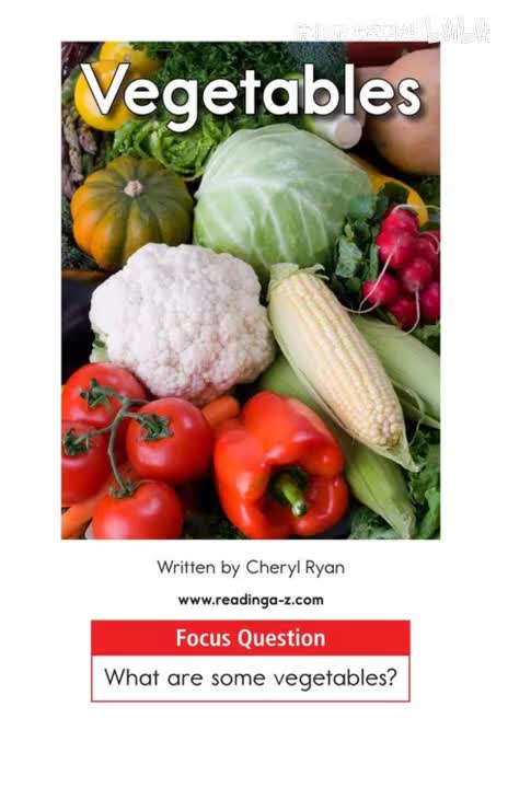 101-【001 A级】Vegetables