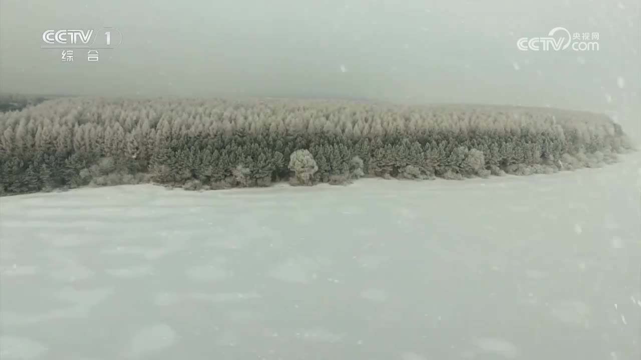 第2集 胜利之本