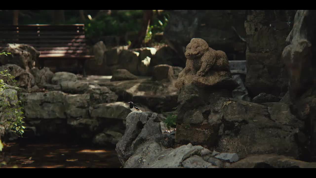 【S15淘汰赛】10月31日 T1 vs AL