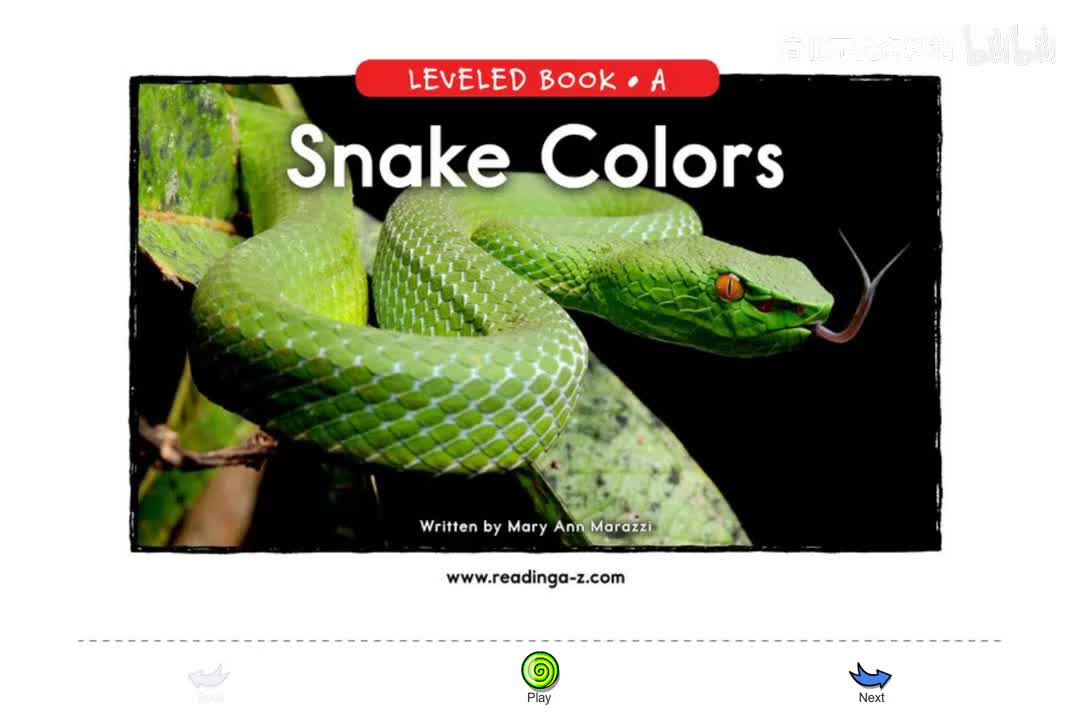 163-【063 A级】Snake Colors