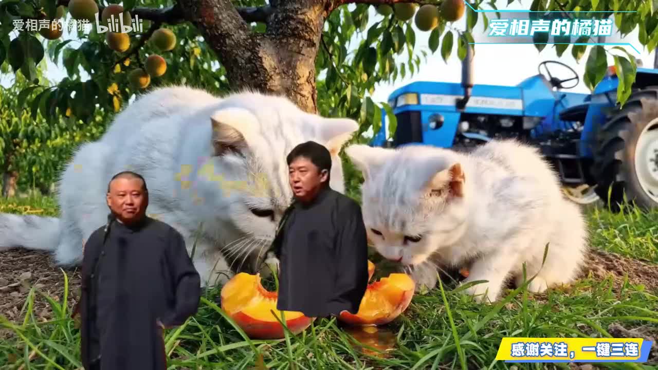 谦哥出轨讹来五百块3