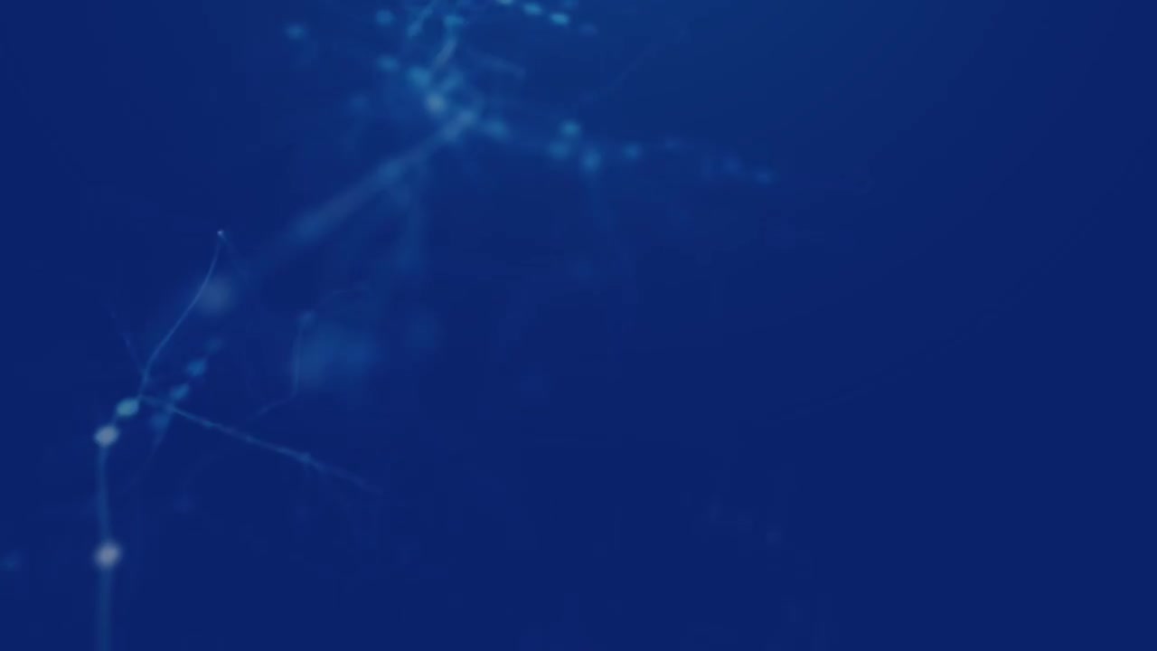 17 企业案例-车辆燃油表偶尔失灵