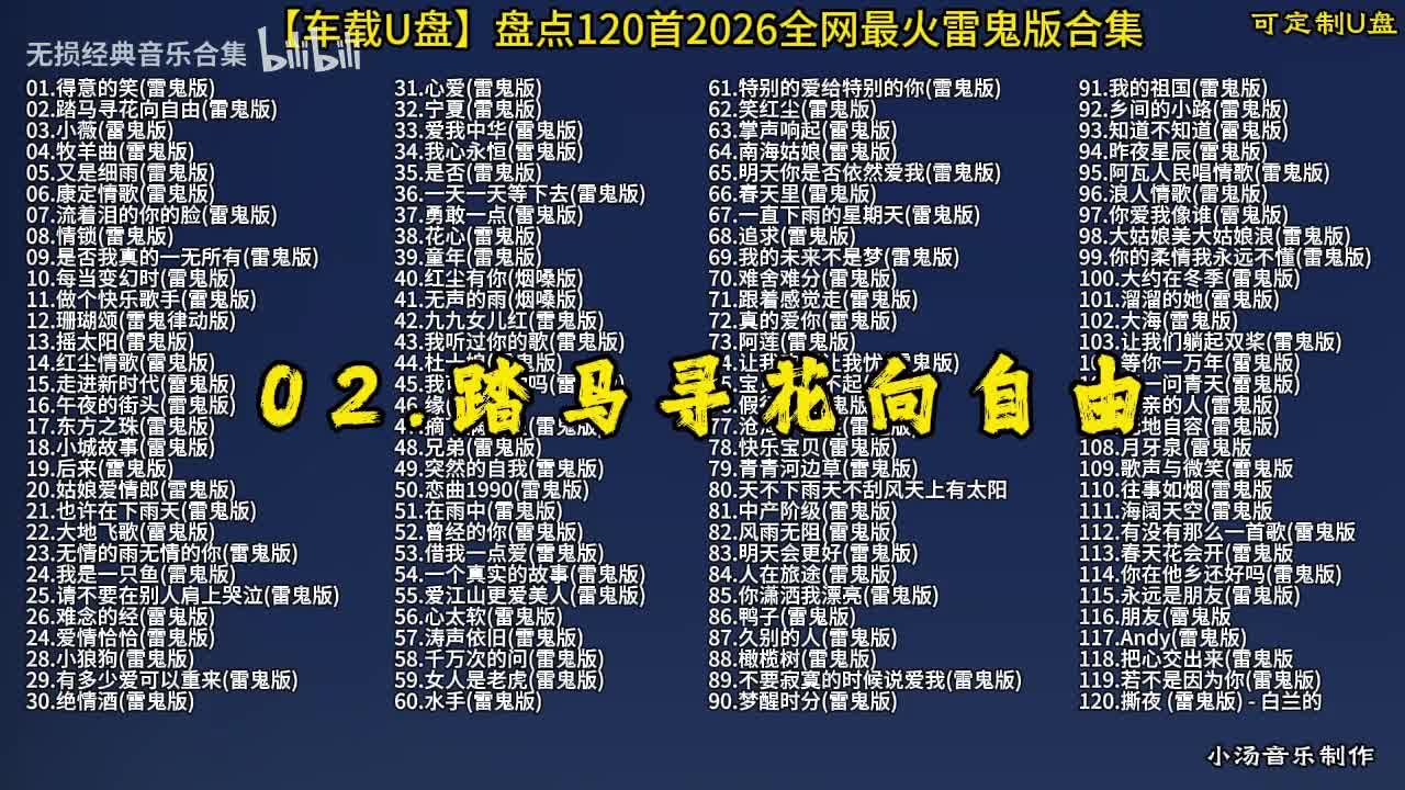 100首抖音热门 (3)