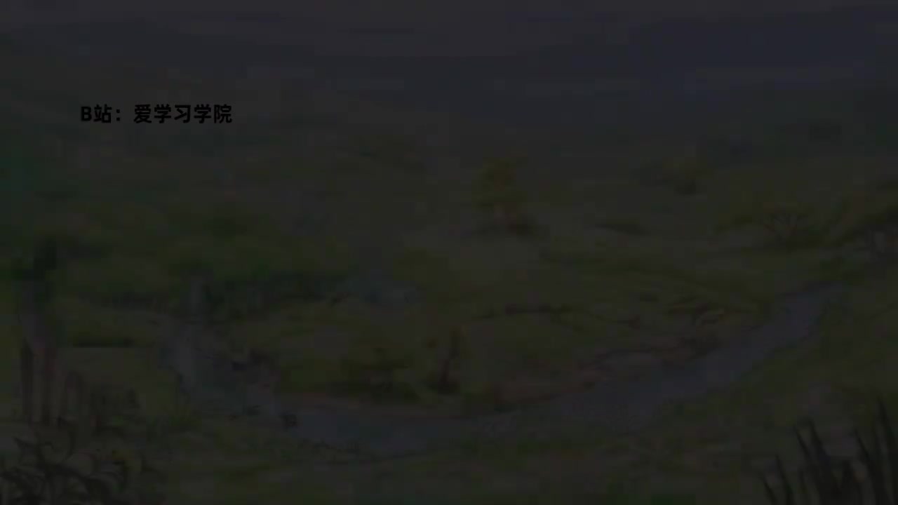 049 Compilation Otters Antics